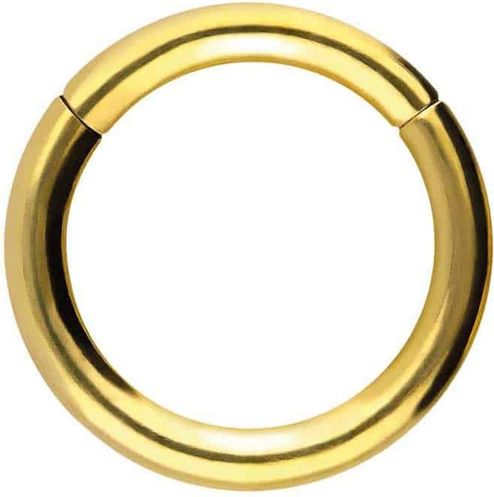 Ohrpiercing, Nasenpiercing, Septum Piercing Chirurgenstahl Segmentring Clicker Gold Innendurchmesser: 10mm + Stabstärke: 2mm