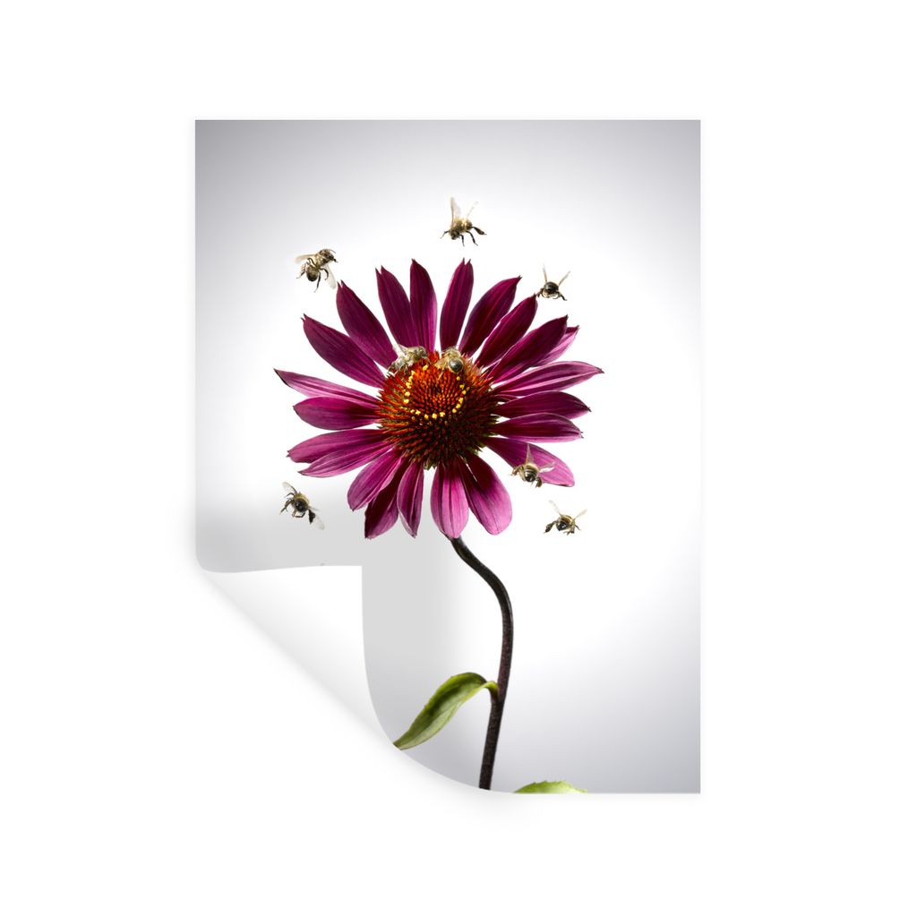 MuchoWow Wandtattoo Wandsticker Wandaufkleber Bienen fliegen um blühende Blumen 90x120 cm Selbstklebend und Repositionierbar - Faltenfrei