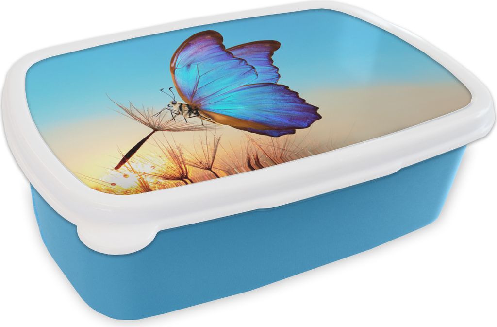 KitchenYeah Lunchbox Brotzeit Brotdose 17x11 cm Schmetterling - Löwenzahn - Blau Kinder Brotzeitdose - Lunch - Kunststoff - Brotbüchse - Sandw...