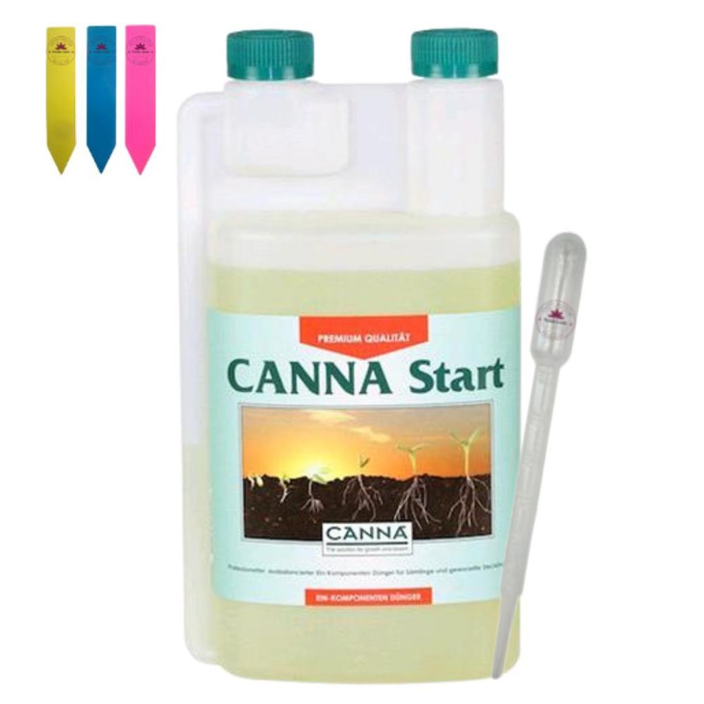 Canna Start
