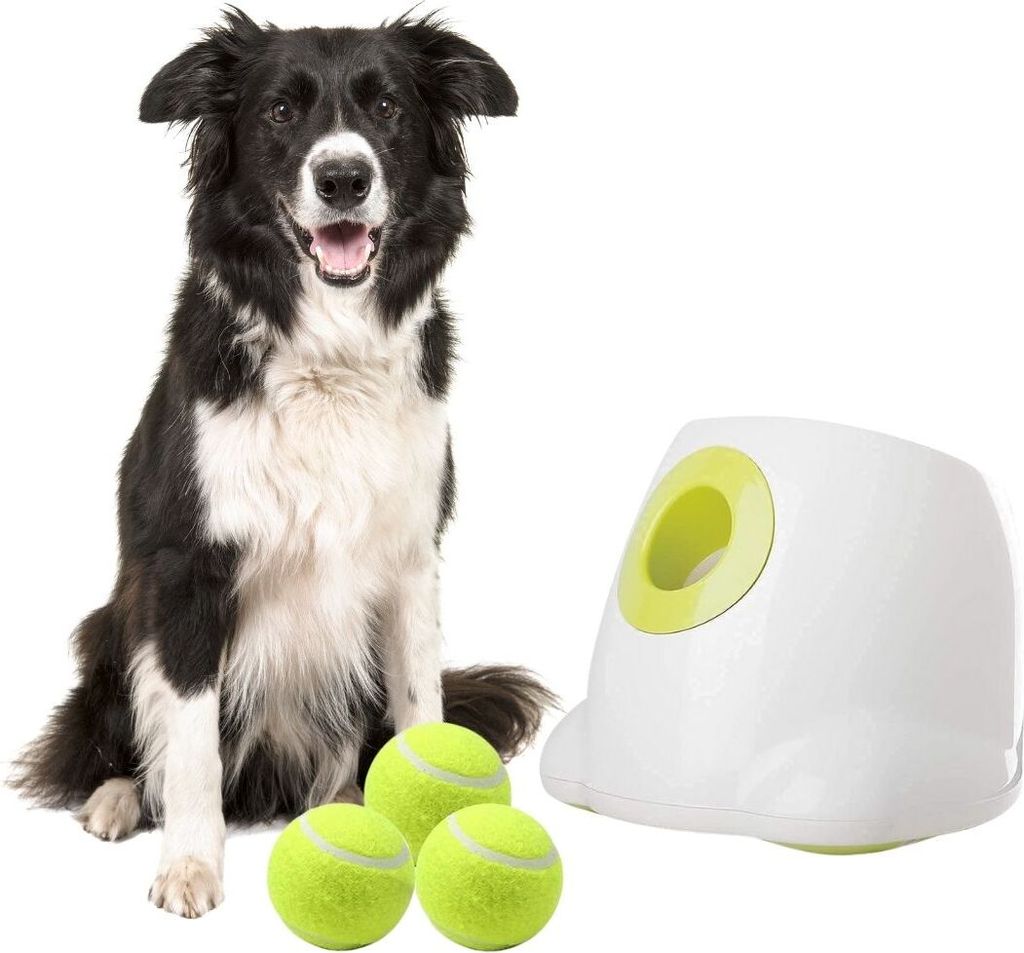 BOT Automatische Ballwurfmaschine für große Hunde. Inkl. Produktbild 5