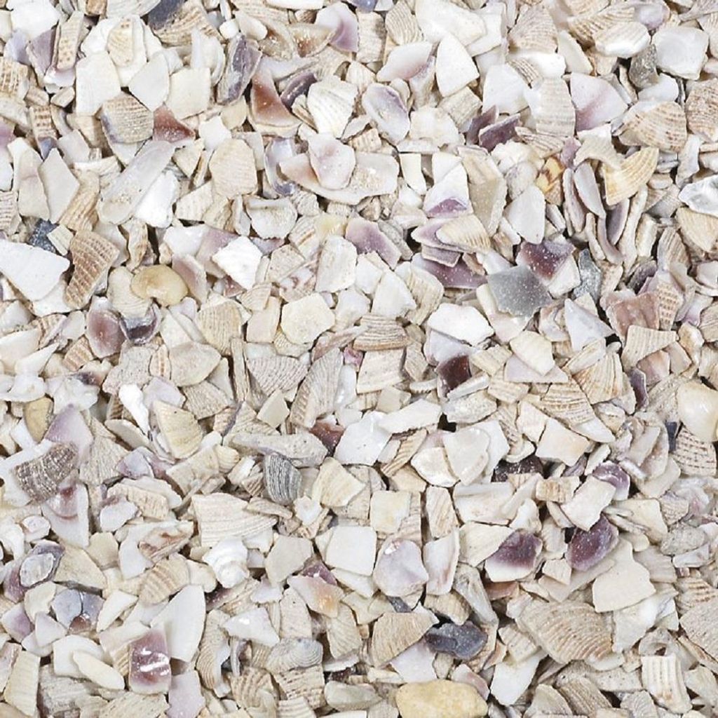 Muschelgranulat 2-5Mm. 1Kg. Natur Produktbild 