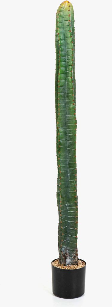 artplants.de Deko Säulenkaktus ELKURUD, grün-rot, 140cm - Kunstkaktus