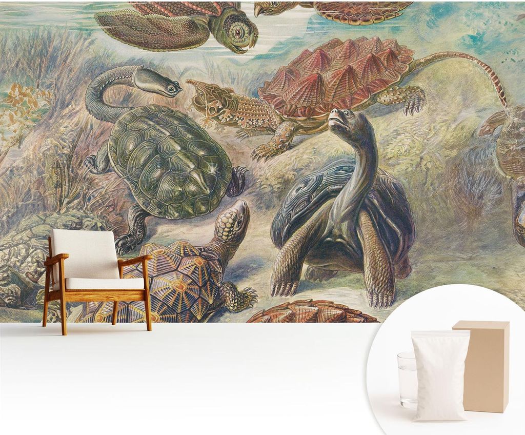 Fototapete - 416x254 cm - Tapete - Wandtapete - Wandbilder - Dekofolie - Tapete Folie - Wand - Dekoration - Wohnzimmer - Schildkrötenfauna