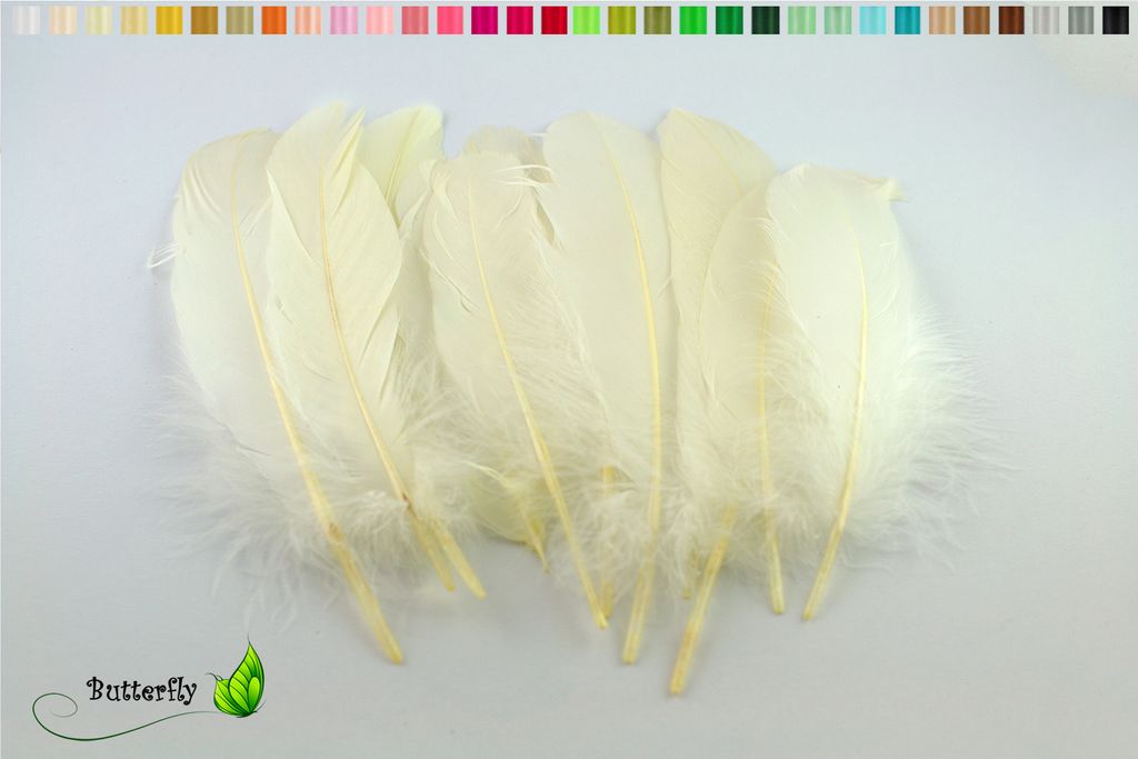 10 Gänsefedern 15-20cm, Farbauswahl:ivory / elfenbein 810
