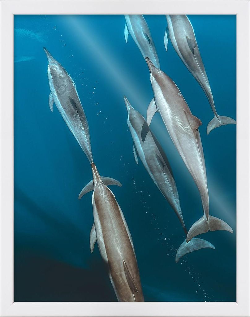 RAWWEST.BIS Bilderrahmen 70x100 cm Weiß Holzrahmen mit Plexiglas Wandrahmen für Fotos Poster Bilder