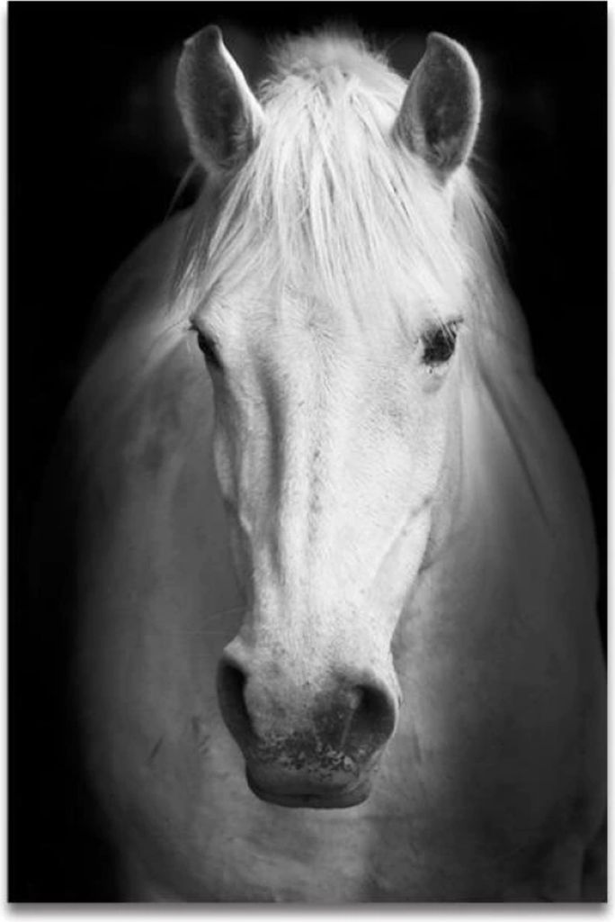 TPFLiving Kunstdruck LW-33 (OHNE RAHMEN) Poster - Leinwand - Wandbild - Hochauflösender Giclée-Druck, langlebig und hochwertig - Tierwelt Afrikas...