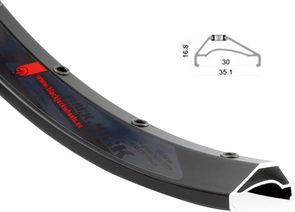 Jante RODI Ready 30 Tubeless Ready 29'' profil asymétrique