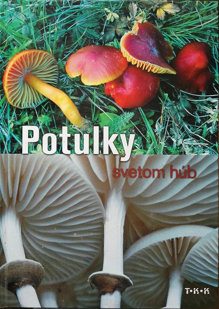 Livre Potulky svetom húb pour identifier les champignons sans erreur