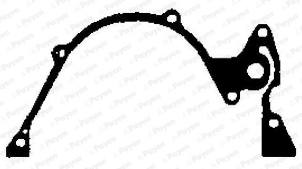 PAYEN Steuergehäusedichtung JR5056 für LANCIA DELTA I (831AB0)