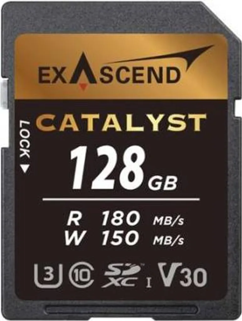 Scheda SD 128GB ExAscend Catalyst V30 - Ideale per Cinema e Action