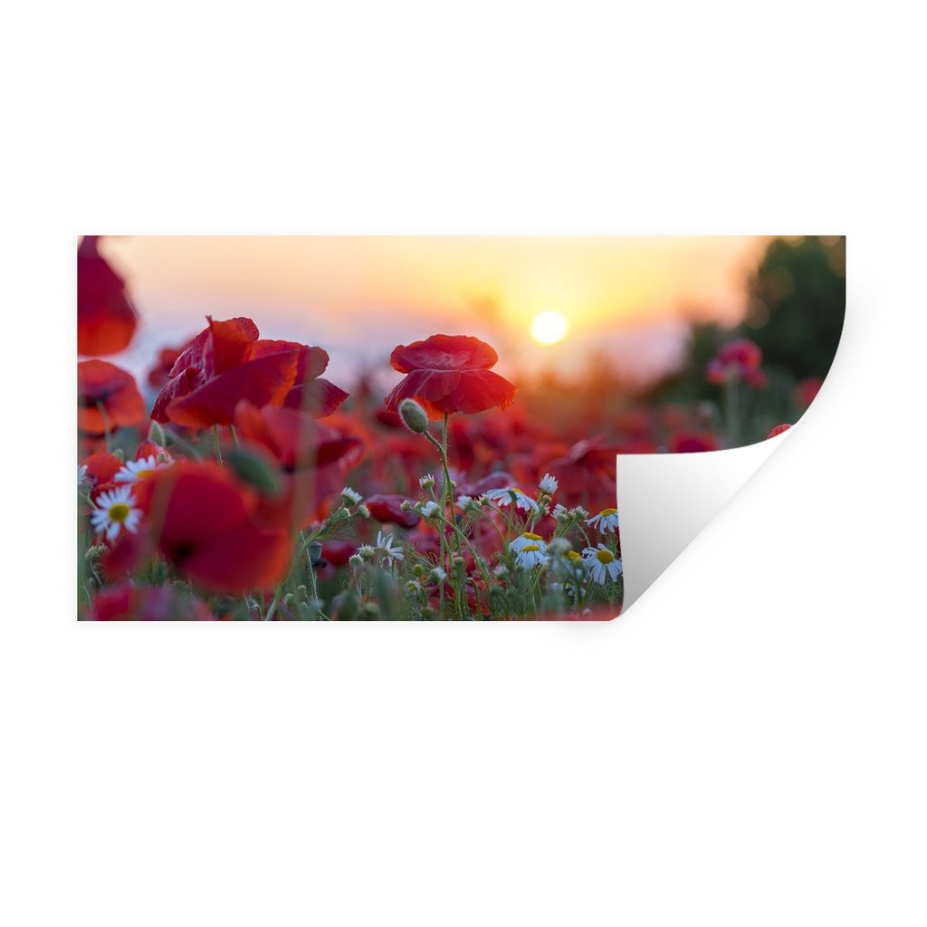 MuchoWow Wandtattoo Wandsticker Wandaufkleber Landschaft mit Mohnblumen am Morgen 120x60 cm Selbstklebend und Repositionierbar - Sticker - Dekorf...