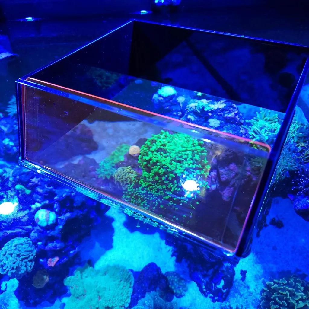 Visionneuse Flipper Top-Down Viewer : Finis les Reflets dans l'Aquarium