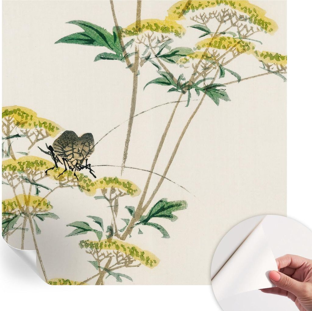 Selbstklebende Wandtapete - Dekorative Tapete für Wohnzimmer - Klebefolie für Wandbilder - Tapetenfolie für Wanddekoration - 250x250 cm - Blumen...