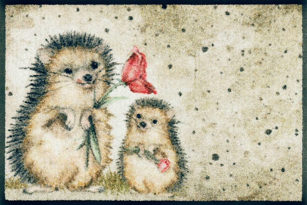 wash+dry Schmutzfangmatte Spike - 40 x 60 cm