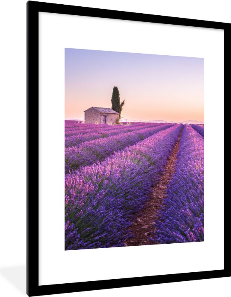 MuchoWow Gerahmtes Poster Lavendel - Sonnenuntergang - Lila - Blumen 60x80 cm - Poster mit Schwarzem Bilderrahmen Wandposter Rahmen Foto Bilder -...
