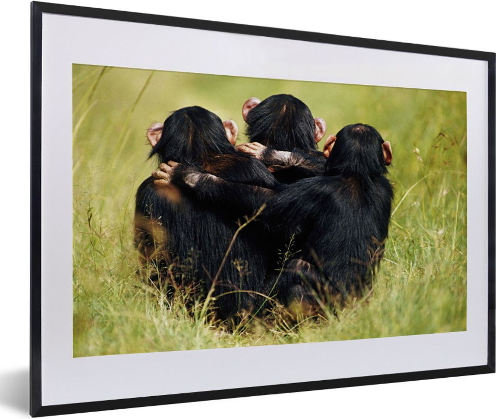 MuchoWow® MuchoWow® Gerahmtes Poster Affe - Gras - Tiere Produktbild 