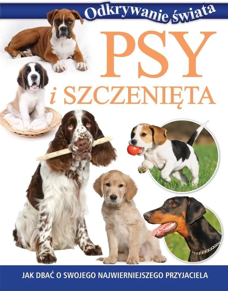 Encyclopédie illustrée Chiens et chiots - Livre complet en polonais