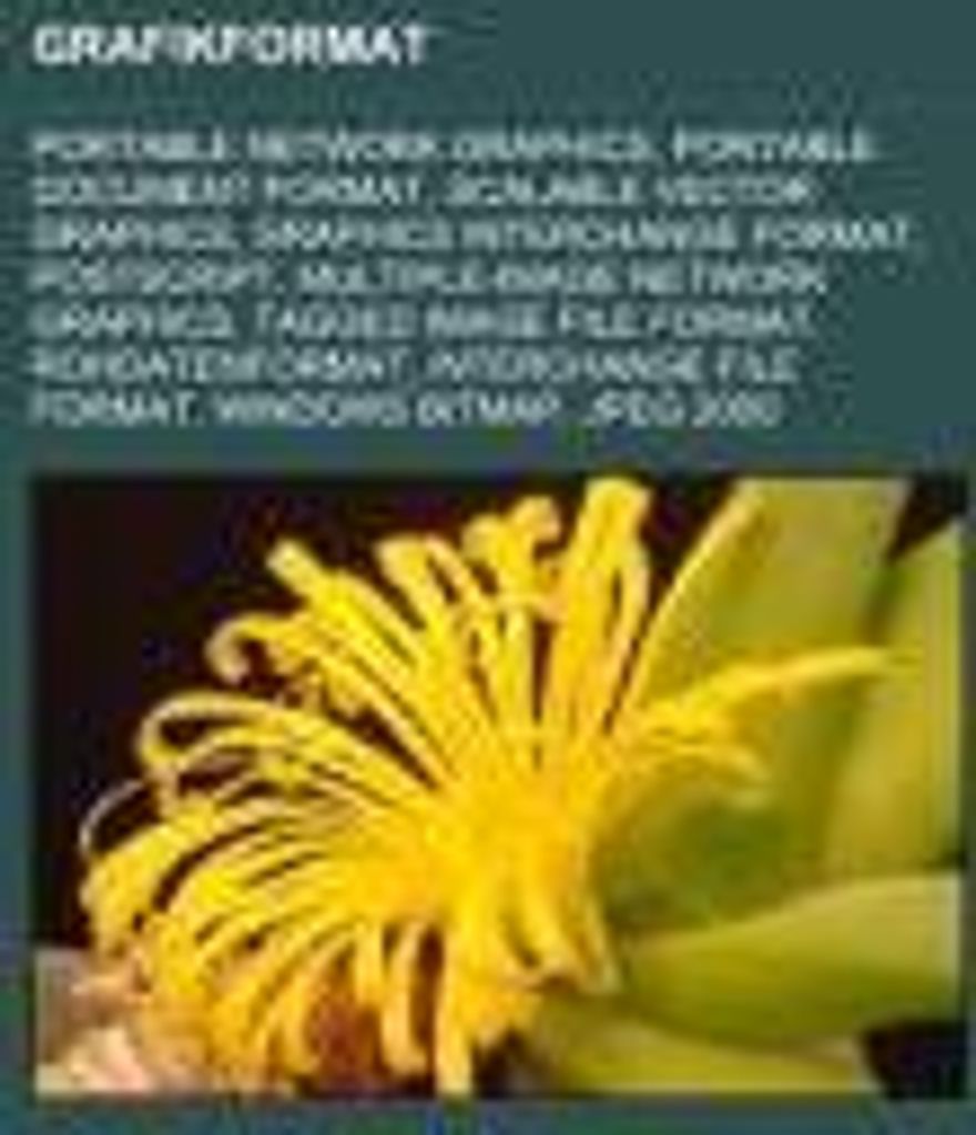 Grafikformat