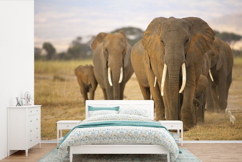 MuchoWow Fototapete für Wohnzimmer oder Schlafzimmer Wandtapete Vinyl Motivtapete Familie der Elefanten - 420x280 cm - Zimmer für Kinder