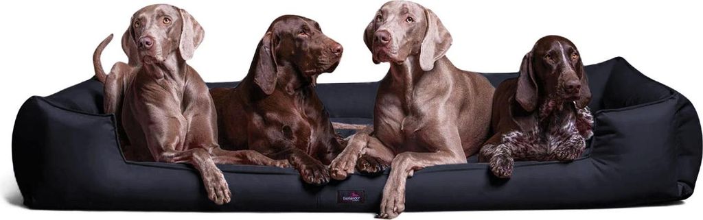 tierlando Orthopädisches Hundebett GOOFY >> inkl. Matratzenschoner << Polyester - Größe: 160x110cm | Farbe: 25 Navy Dunkelblau