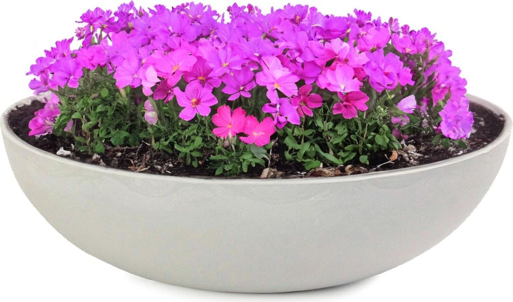 Pflanzschalen für draussen Dekoschalen rund beige grau 37 cm