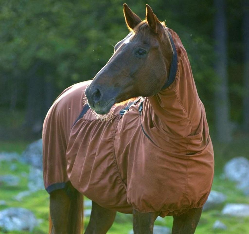 Boett Ekzemerdecke Sweet Itch - chestnut (Größe 85 - 115)