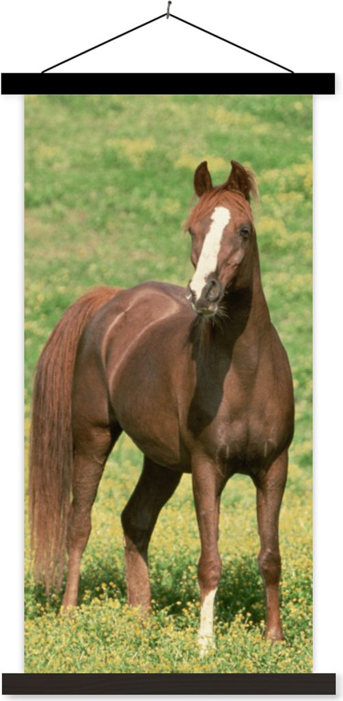 MuchoWow Textilposter Pferde - Gras - Braun 60x120 cm mit schwarzem Rahmen - Magnete