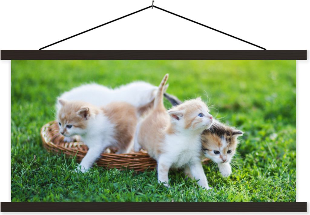 MuchoWow Textilposter Kätzchen - Katze - Korb - Mädchen - Kinder - Jungen - Kinder 150x75 cm mit schwarzem Rahmen - Posterleiste