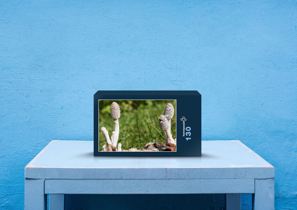 hansepuzzle 40906 - Pilze Puzzle, 130 Teile, Natur, 28,7 x 20,0cm mit hochwertiger Aufbewahrung, Kartonbox und wiederverschließbarem Beutel