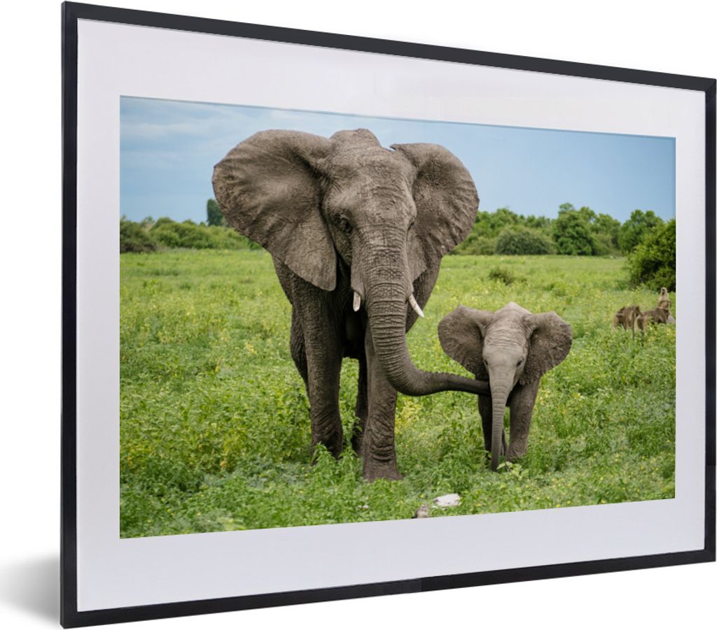 MuchoWow MuchoWow Gerahmtes Poster Elefant - Natur - Park 40x30 cm - Poster mit zchwarzem Bilderrahmen - Bilderrahmen - Poster im Rahmen