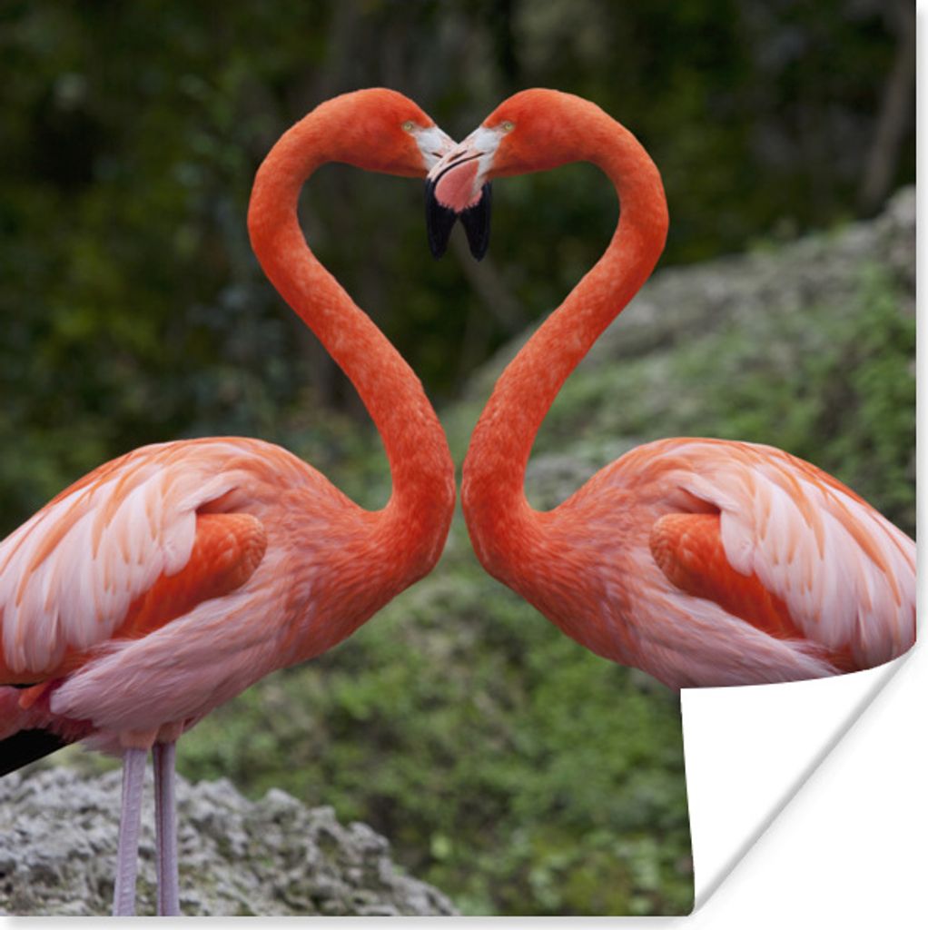 MuchoWow Poster Zwei Flamingos bilden ein Herz 75x75 cm - Wand Dekoration