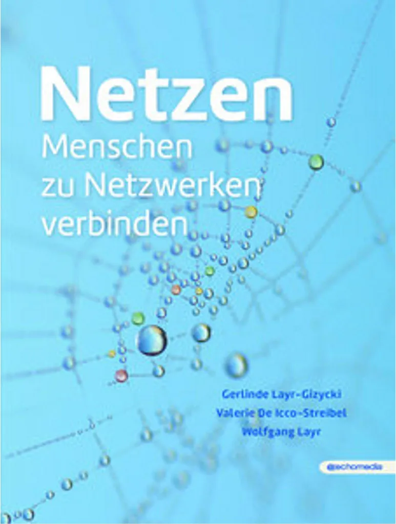 Netzen produit de piscine anti-algues formule active longue durée