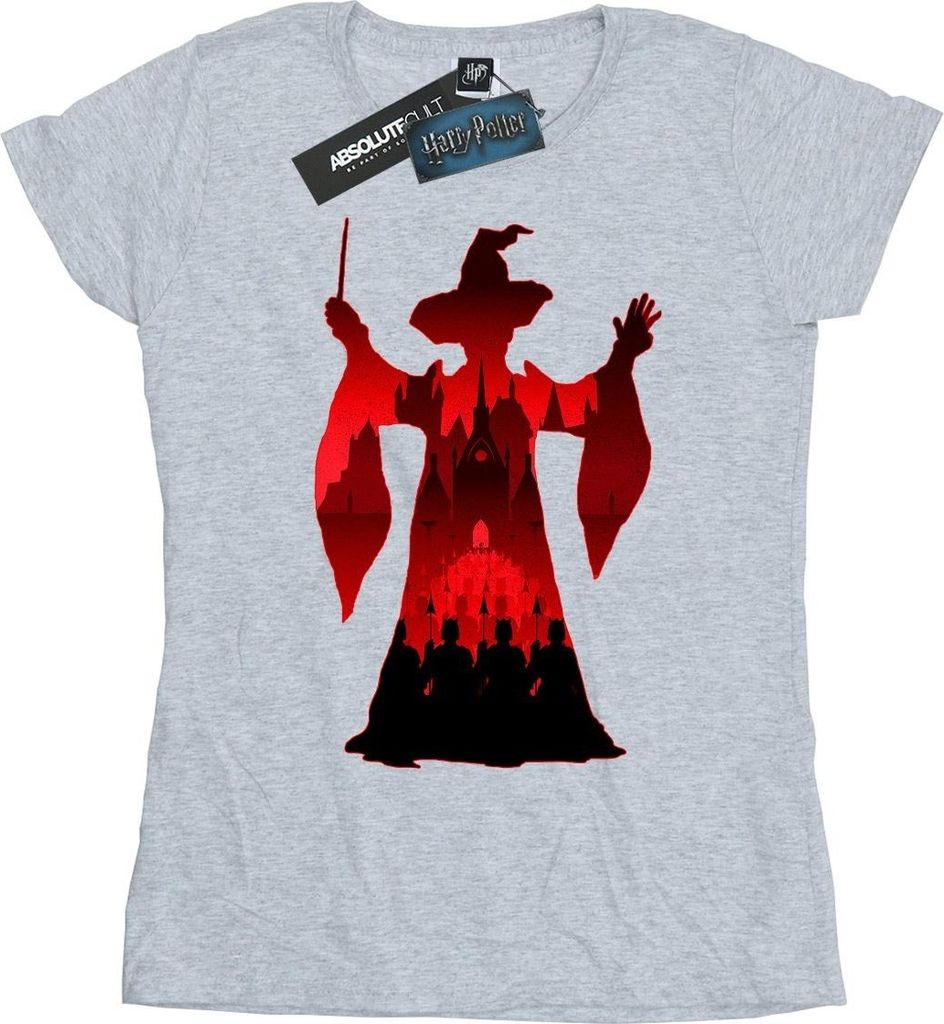 Harry Potter - T-Shirt für Damen BI23387 (XXL) (Grau)