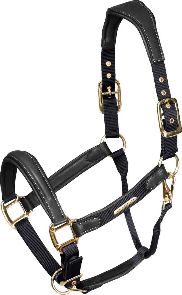 Licol Velociti Lusso ER1675 en cuir matelassé Noir pour cheval Full