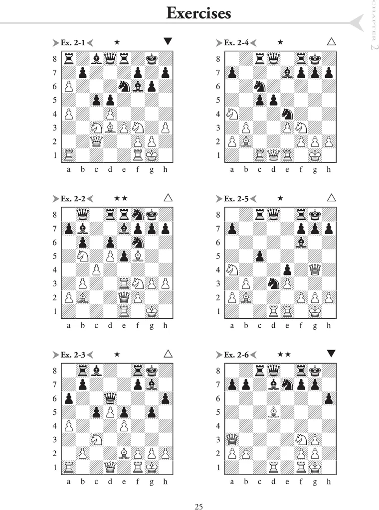 Manuel d'échecs Chess Evolution 2 broché pour joueur de club - 9