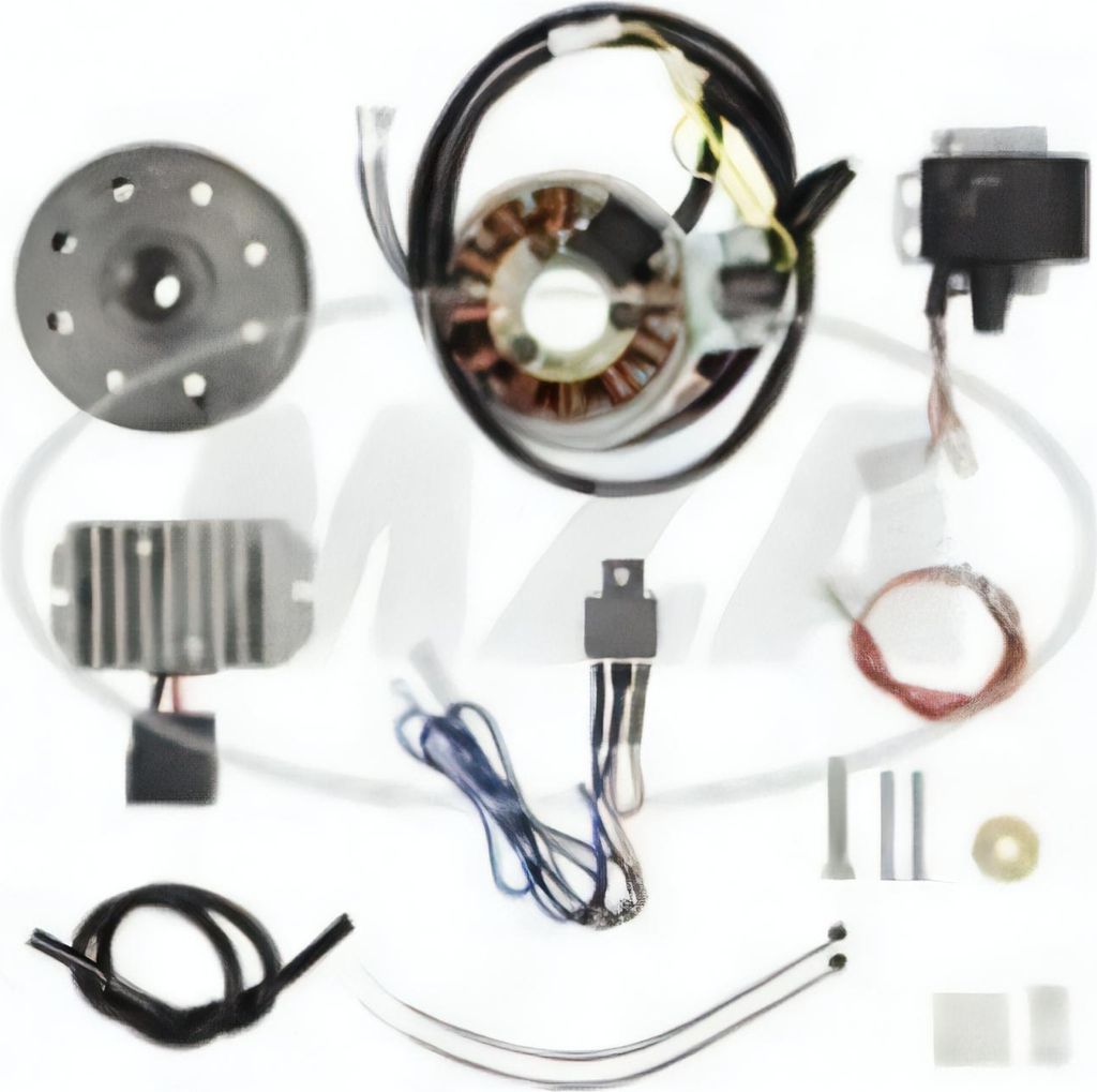 Lichtmaschine + Zündanlage 6V 100 W ES 175-300/0/1/2 und ETS 250