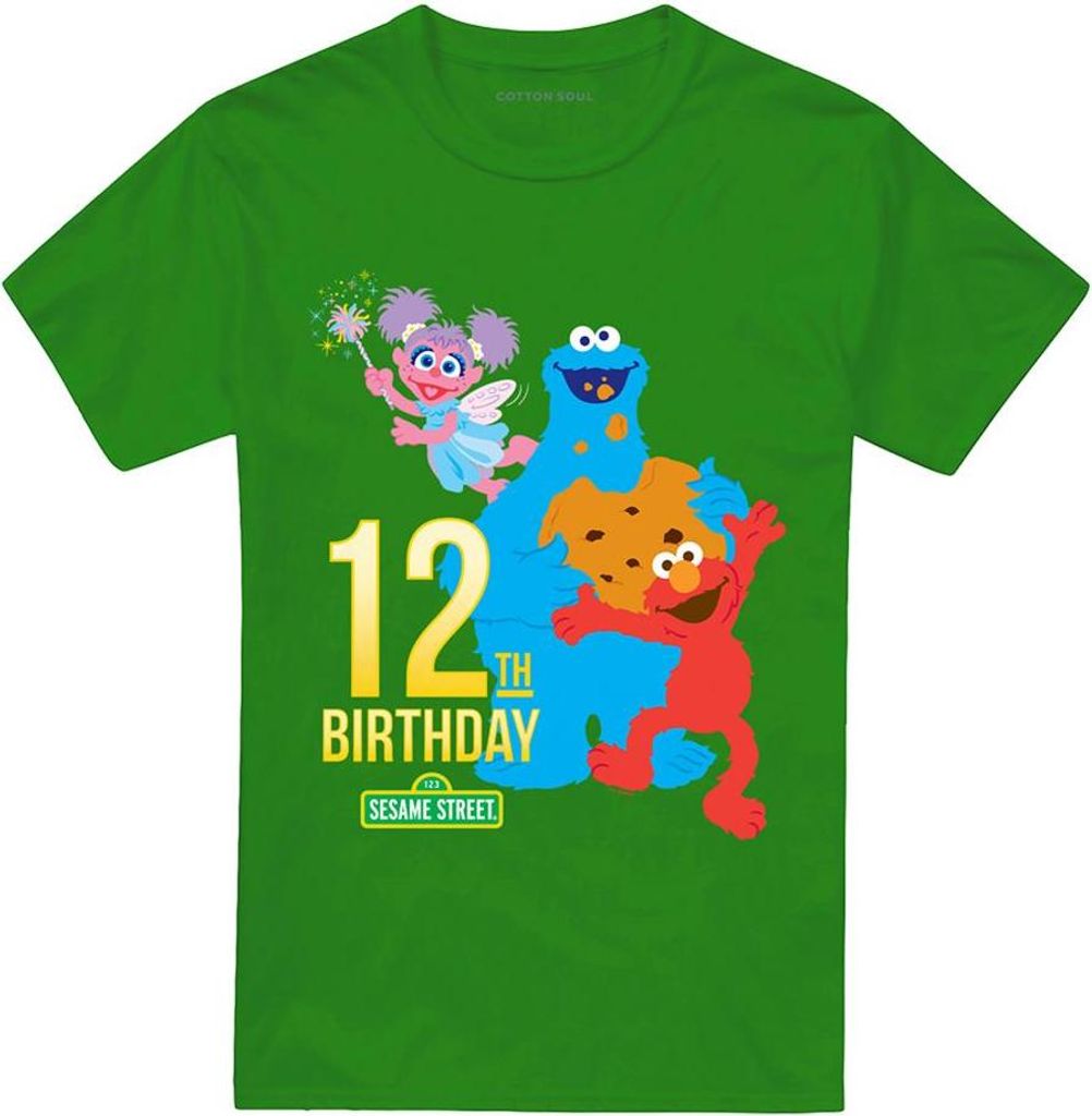 Sesame Street - T-Shirt für Herren/Damen Uni, 12er Geburstag TV29172 (M) (Irisches Grün)