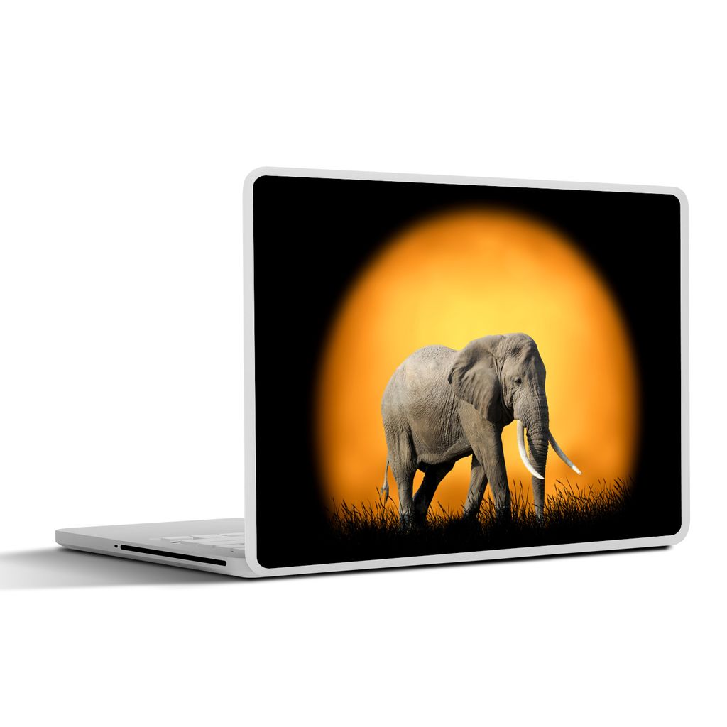 MuchoWow Laptop Aufkleber Sticker Cover Elefant - Sonne - Gras 30x22 cm - Laptop-Sticker