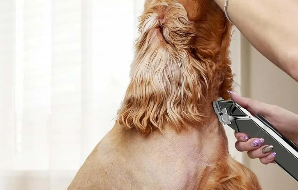 Trimmer / rasoio per animali domestici Oneisall Rfc-676 - 5