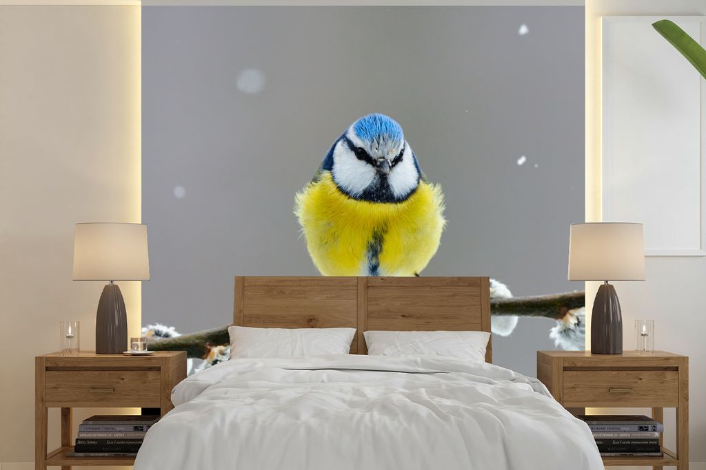 MuchoWow Fototapete für Wohnzimmer oder Schlafzimmer Wandtapete Vinyl Motivtapete Blaumeise - Vogel - Zweig - Gelb - Blau - 220x220 cm - Tapeten