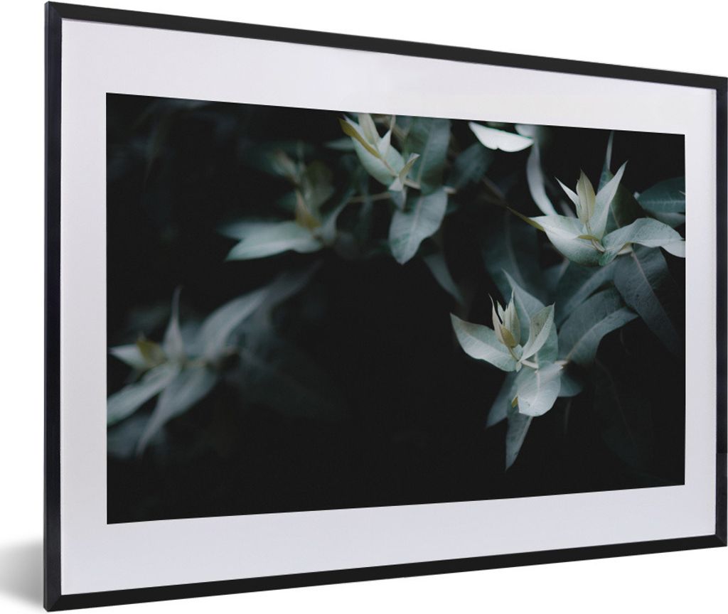 MuchoWow Gerahmtes Poster Eukalyptuszweige auf dunklem Hintergrund 60x40 cm - Poster mit Schwarzem Bilderrahmen Wandposter Rahmen Foto Bilder - S...