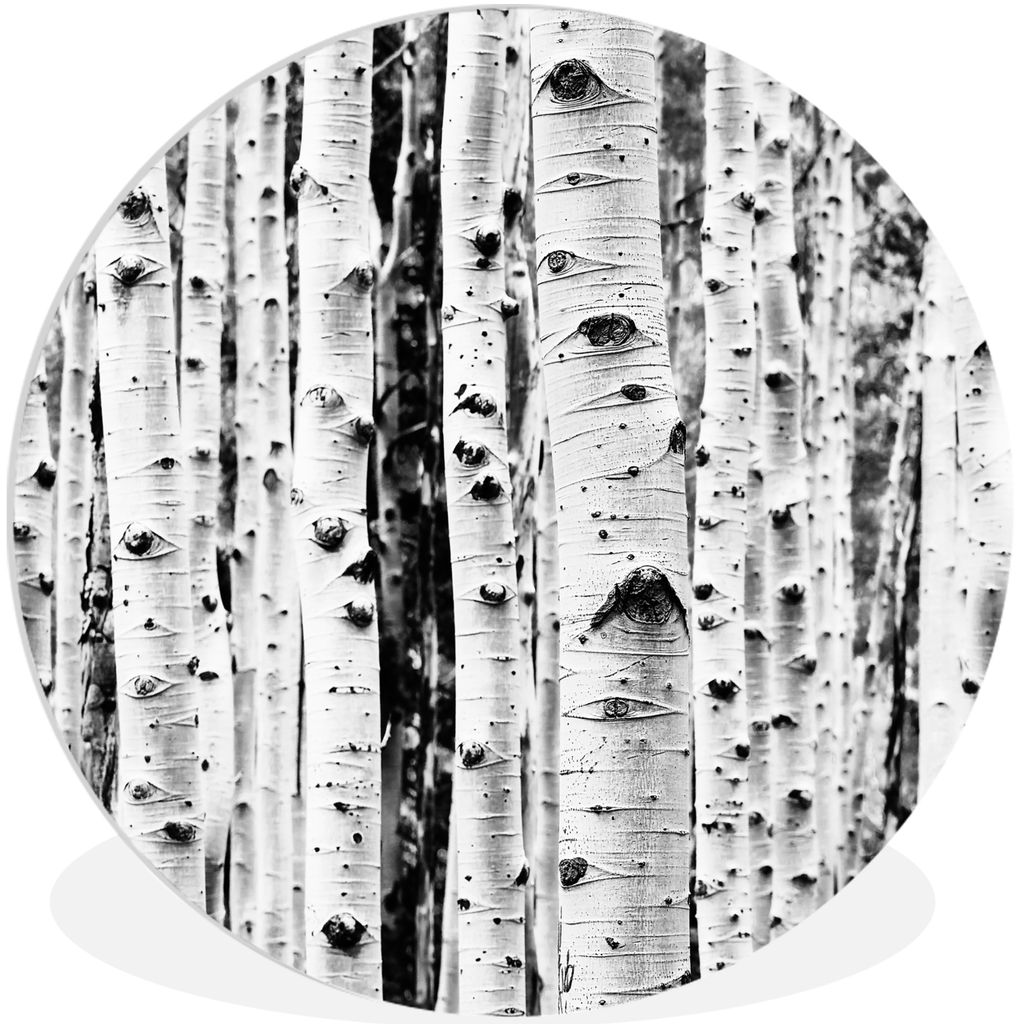 MuchoWow Rundes Wandbild - Runde Bilder Bäume - Holz - Schwarz und weiß - Natur Ø 30 cm Kreis Wanddekoration Kunststoff - Wandkreis - Wandschm...