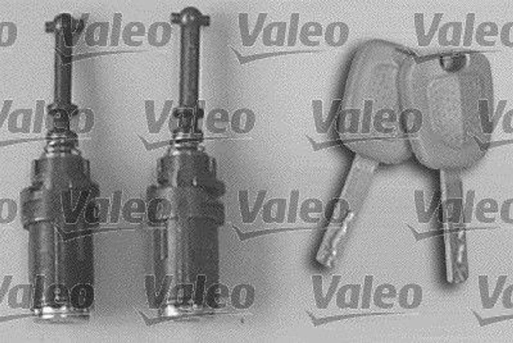 Cylindre de serrure robuste Valeo 256924 pour C3 - Acier anti-usure