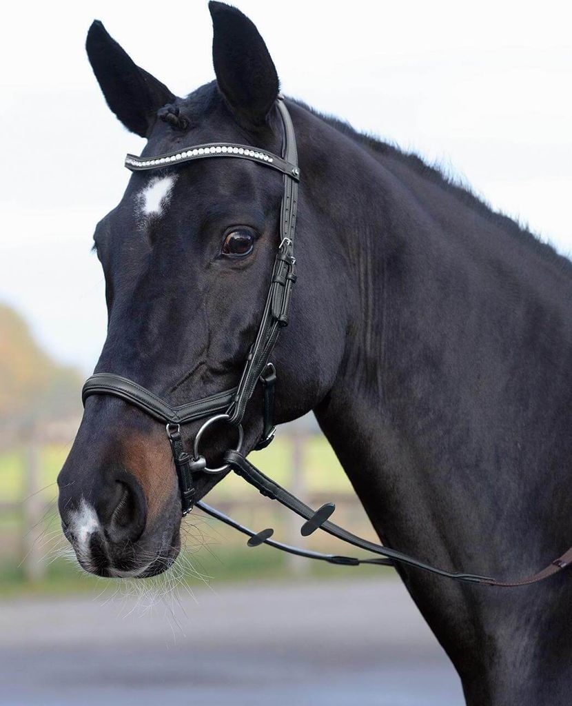 BUSSE Trense Emotion Reithalfter Trensenzaum mit Zügel Schwarz/ Kristall VB