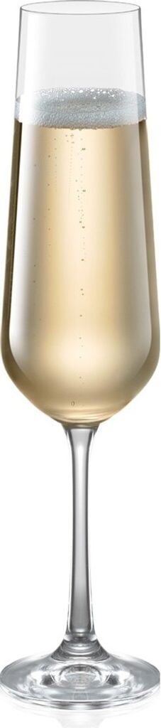 Tescoma Champagnerglas GIORGIO 200 ml, 6 St.