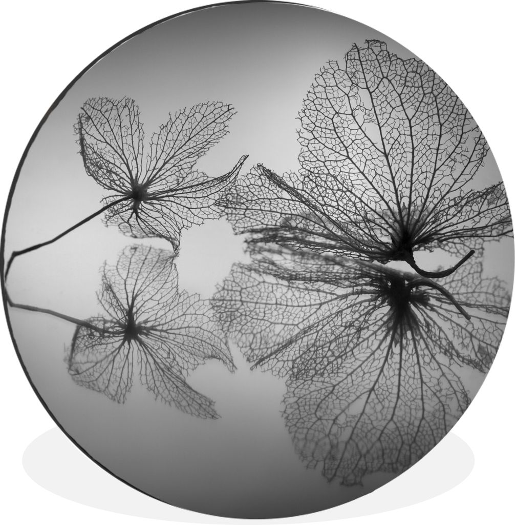 MuchoWow - Wand Bild - Wohnzimmer - Runde Bilder - Alubilder - Kunst für zu Hause - Aluminium - Wanddekoration
