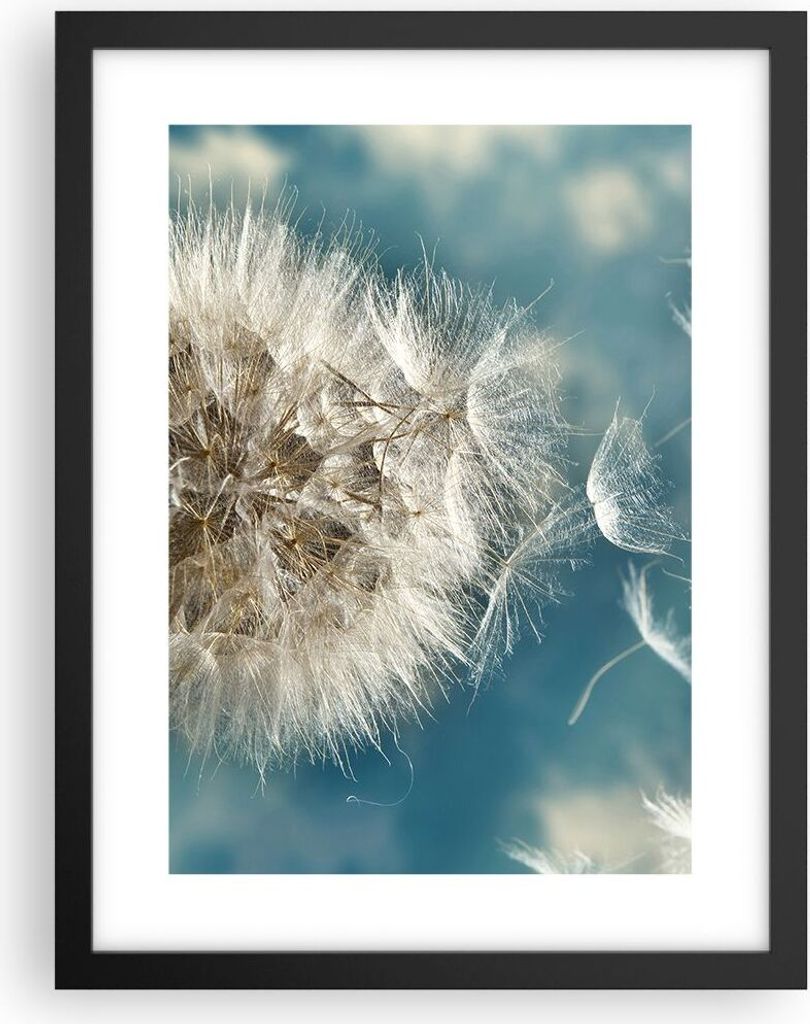 Gerahmtes Poster - Schwarzer Rahmen - Baby Sommer Pflanze - 30x40 cm - Wand Bild - Wanddeko - Wandbilder - Kunstposter - Wandposter - Bilderrahmen ...
