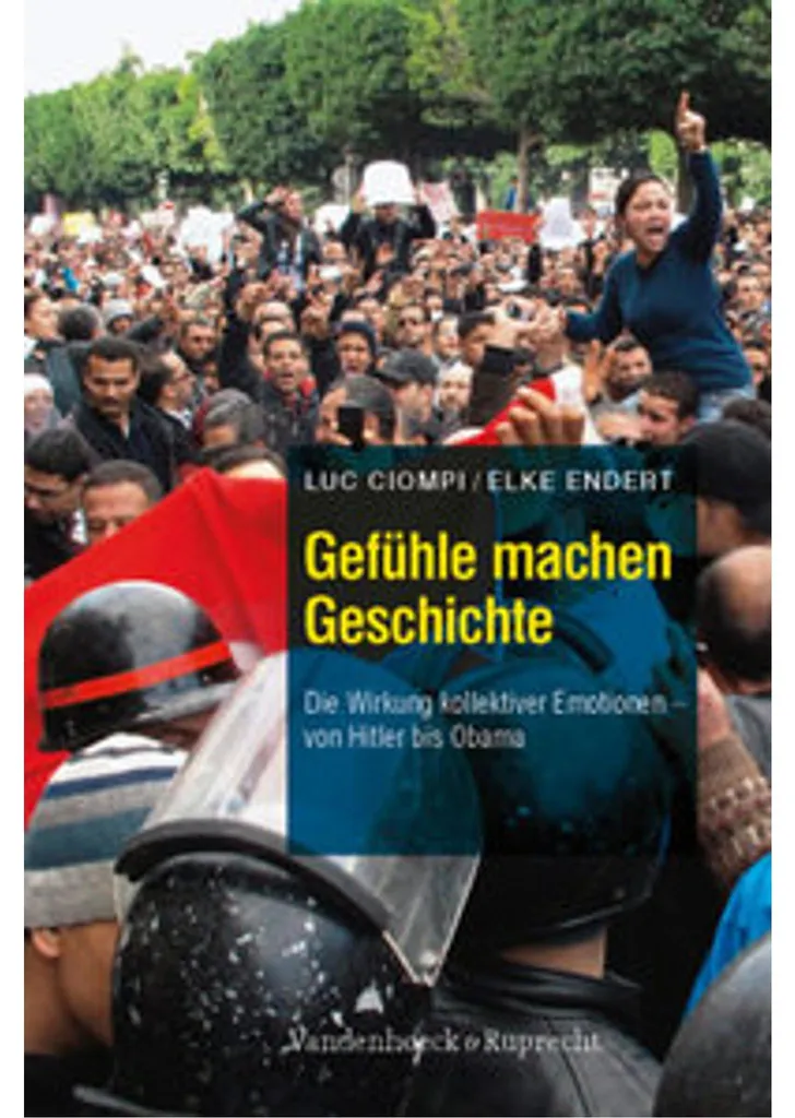 Décoder le Passé : Gefühle machen Geschichte, Livre de Psychologie Sociale
