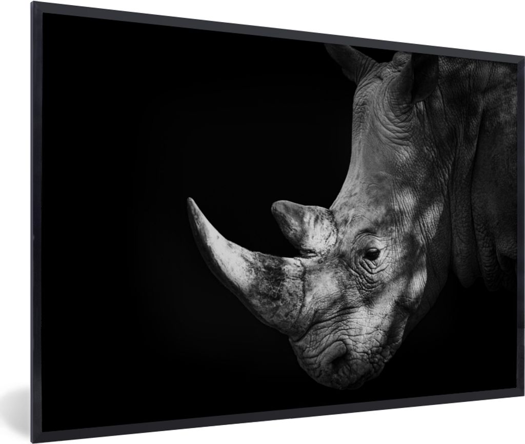 MuchoWow MuchoWow Gerahmtes Poster Rhinozeros - Tier - Licht 90x60 cm - Poster mit zchwarzem Bilderrahmen - Fotorahmen - Foto-Plakat